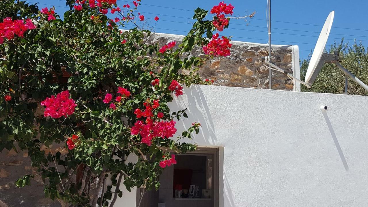 Flora'S Beach And Pool Villa In Syros Liaropa Екстер'єр фото
